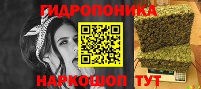 хмурый Новодвинск